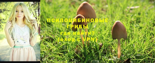 соль курить ск Осташков