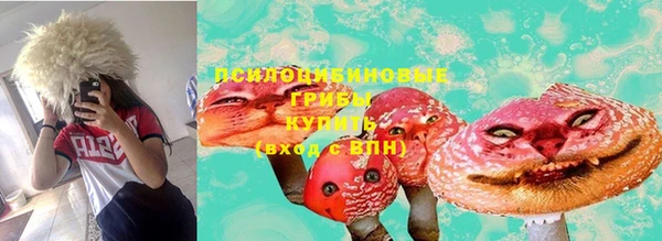 герыч Няндома