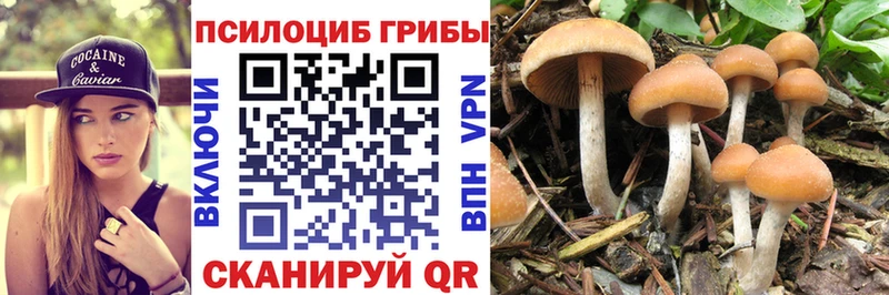Купить где  Рузаевка  Галлюциногенные грибы MAGIC MUSHROOMS 